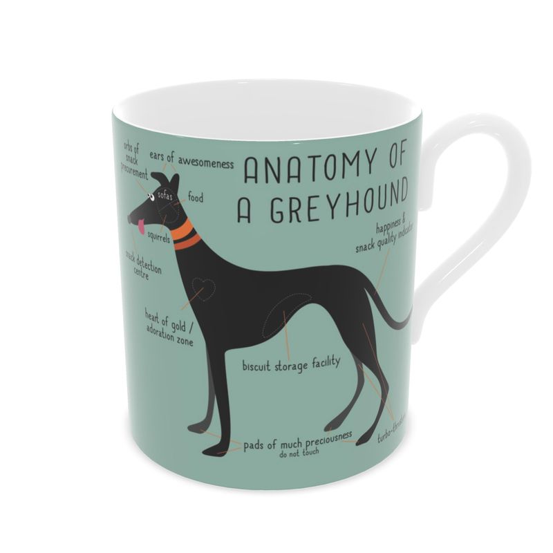 Mugs & Bottles