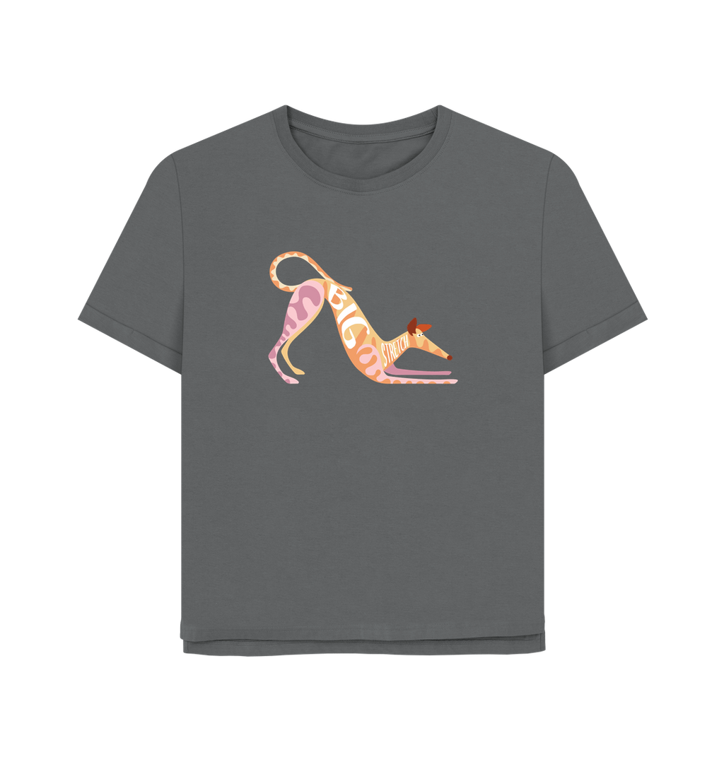Slate Grey Printed T-shirt Front