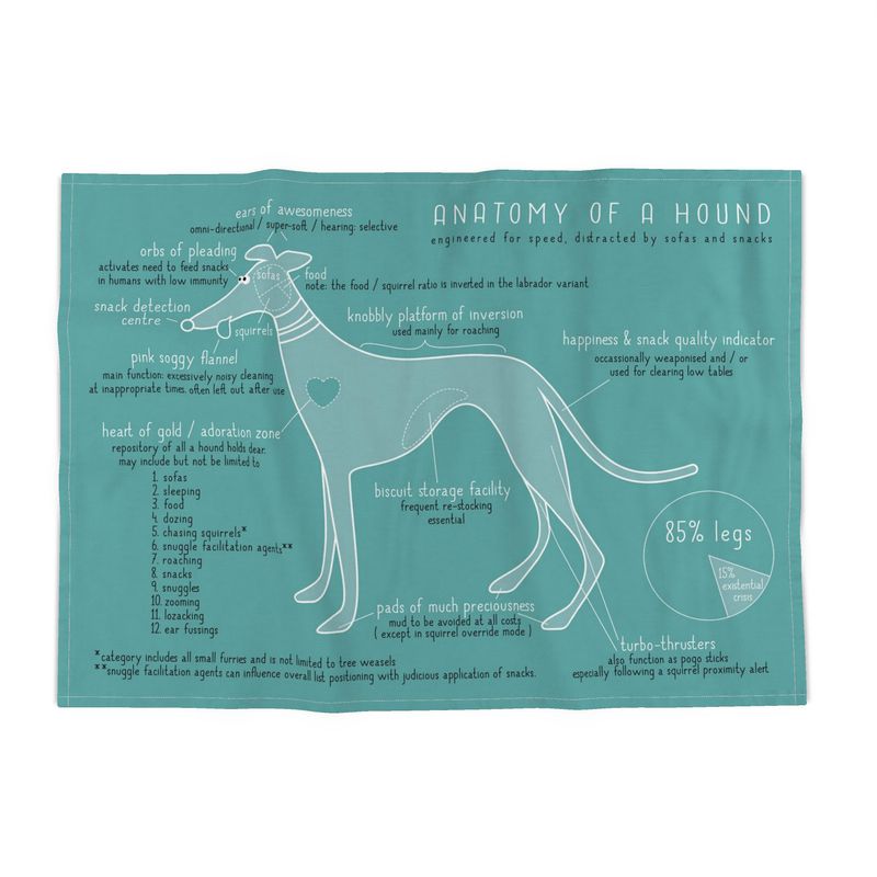 Anatomy of a Hound - TURQUOISE