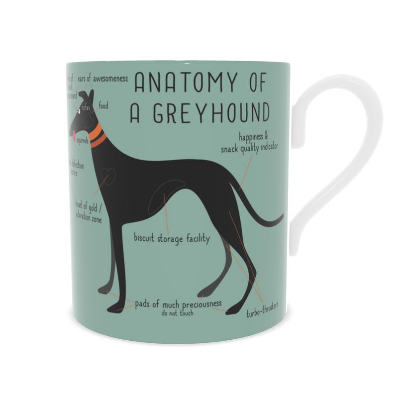 Front View of a Bone China mug featuring a cute cartoon of a black greyhound on a sage green background. The illustration is called Anatomy of a greyhound. Some of the features included are Ears of Awesomeness and Biscuit Storage Facility. 