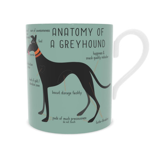 Front View of a Bone China mug featuring a cute cartoon of a black greyhound on a sage green background. The illustration is called Anatomy of a greyhound. Some of the features included are Ears of Awesomeness and Biscuit Storage Facility. 
