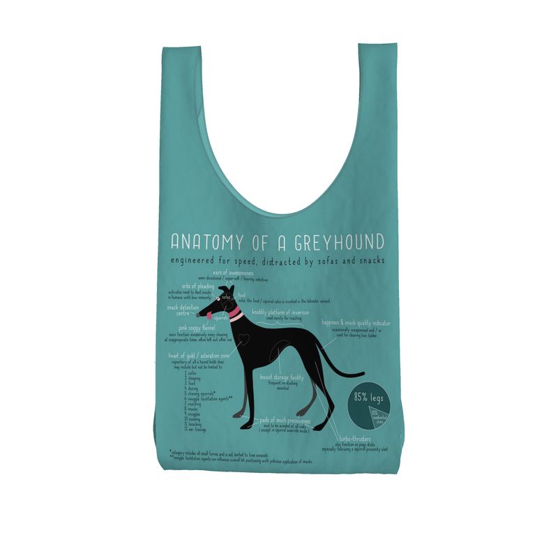 Anatomy of a Greyhound - Parachute Shopper TURQUOISE - The Hound LoungeParachute Shopping Bag